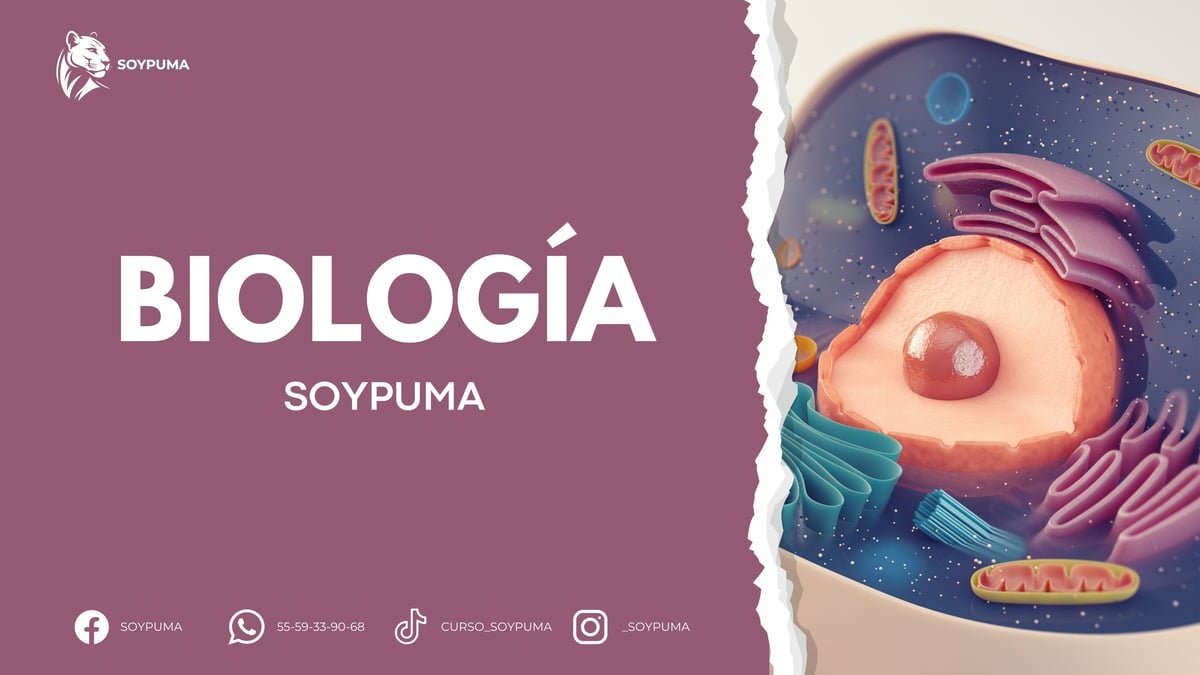 Materia de Biología — SOYPUMA