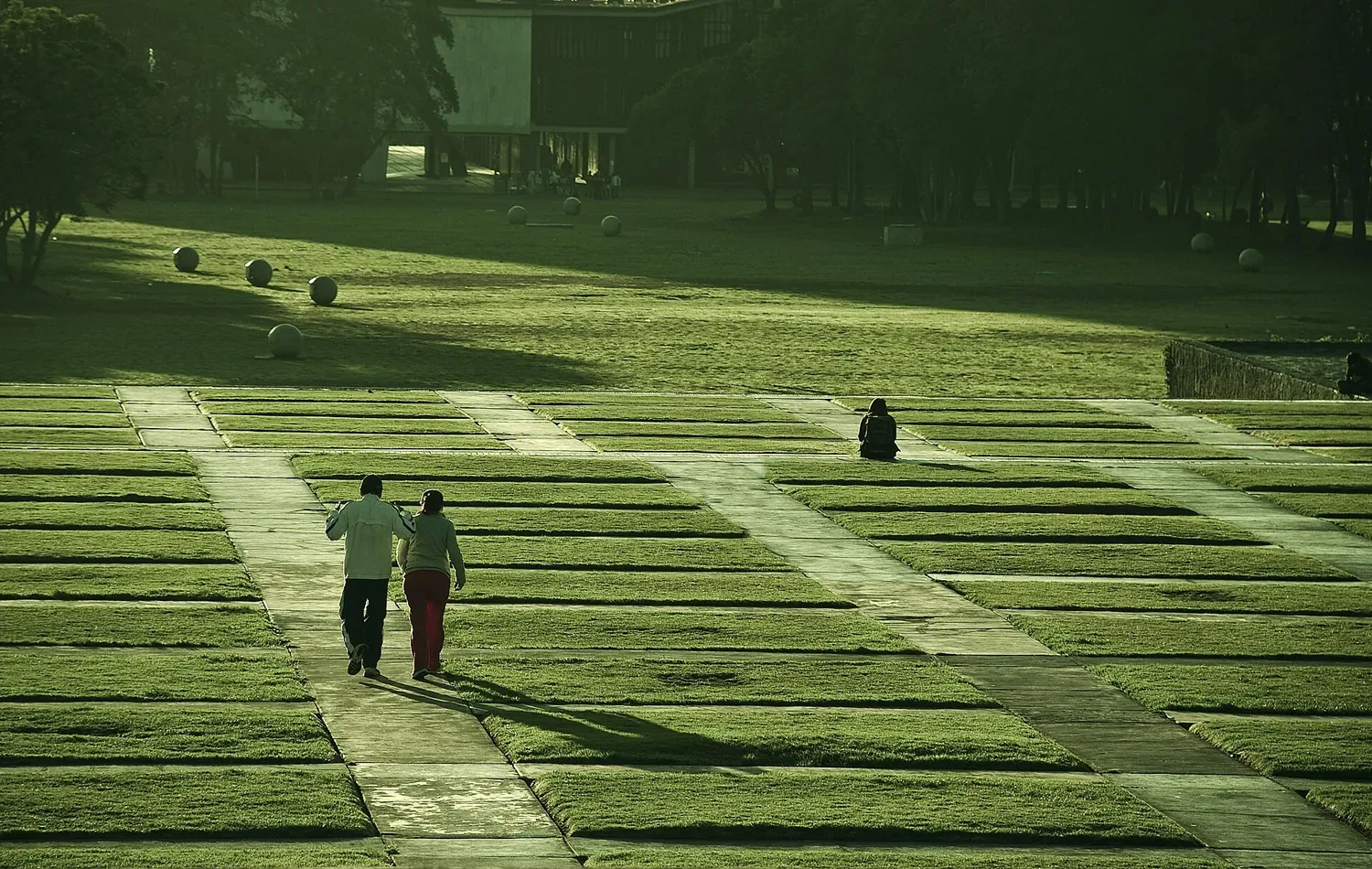 Jardines de Ciudad Universitaria, UNAM